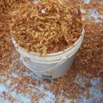 Dried Crayfish Per paint Bucket